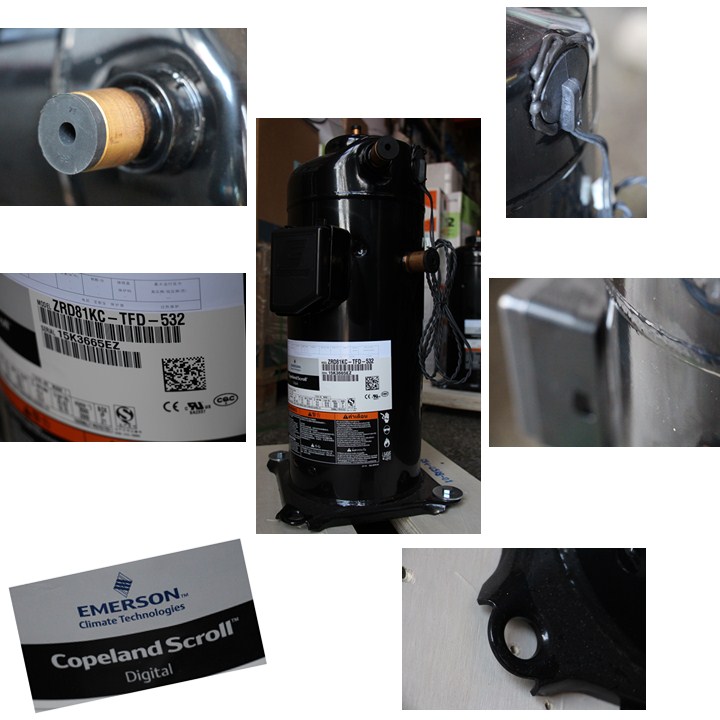 IMG_5931_副本.jpg IMG_5931_副本.jpg