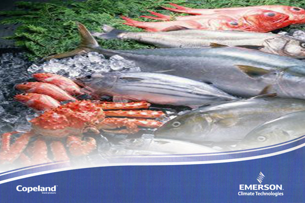 冷庫(kù) 冷庫(kù)