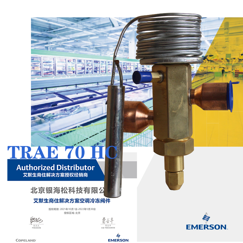 熱力膨脹閥 熱力膨脹閥